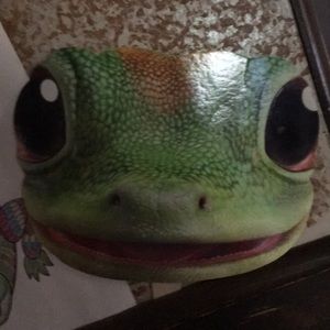 Meet your Posher, Jo